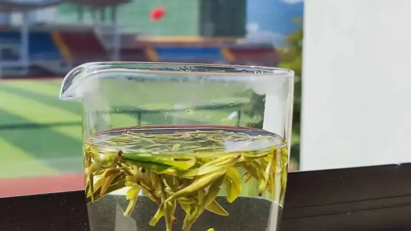 徽州松萝，自带橄榄香的千年药茶
