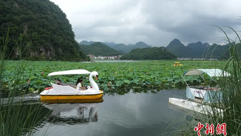 云南普者黑：喀斯特山水迎来暑期旅游热