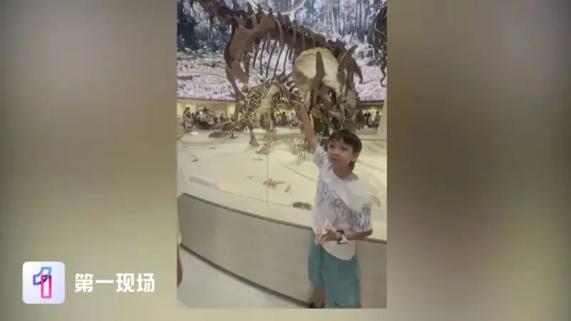 深圳7岁小孩哥逛自然博物馆，一眼指出两处错误，官方连夜调整
