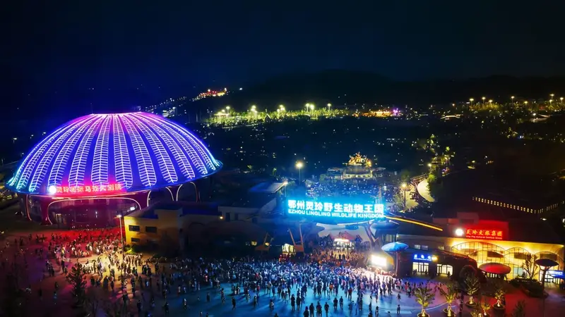 在鄂州灵玲夜闯“非洲”、赏漫天烟花,才算不负这个暑假