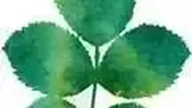 云南必去的25个目的地，每一个都柔软了时光！