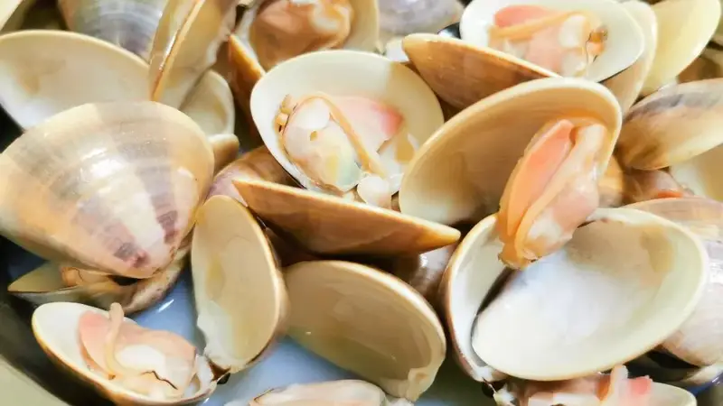 江门海鲜，鲜上鲜 | 上川沙白，藏在贝壳里的大海鲜味