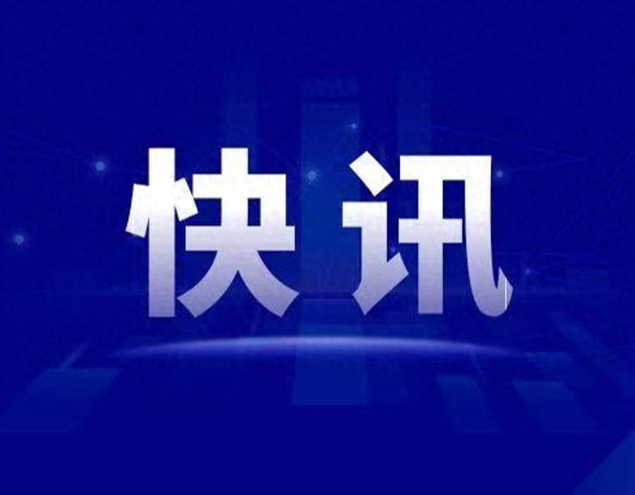 上海乐高乐园开业首年：接待游客人次创全球乐高乐园同期纪录，金山文体娱乐收入翻两番