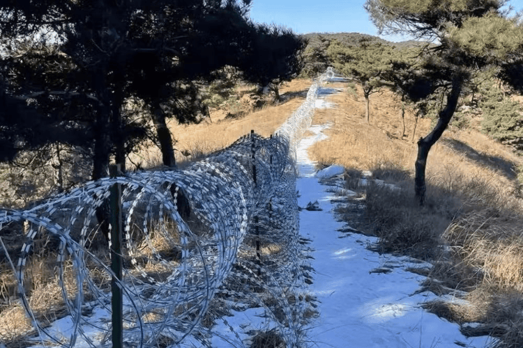 泰山“刀片网”将拆，追责不能停