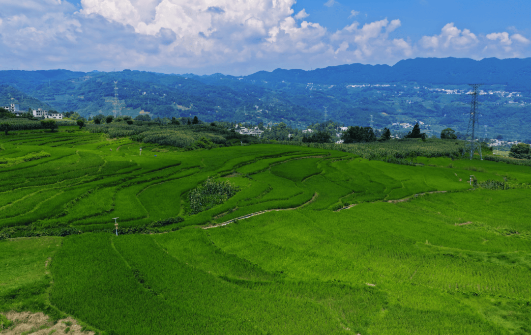 大方县小屯乡：千亩梯田，还你夏日清凉
