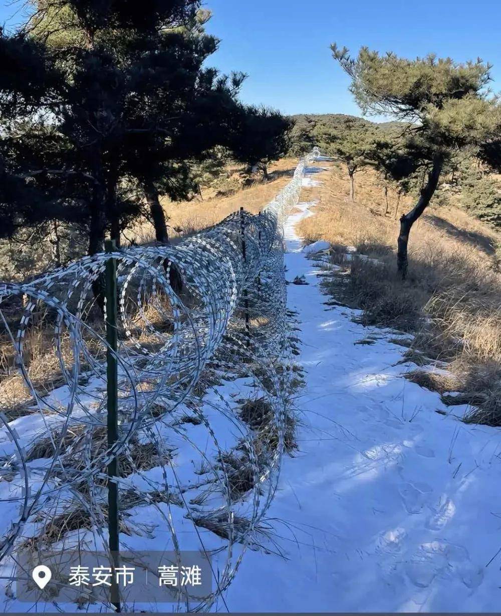 泰山不是你家后花园，凭什么“铁网围山”？