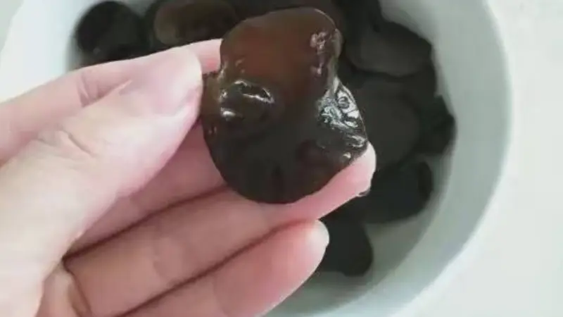 古城里的厨房文艺指南：干货海味泡发妙招，小白也能搞定地道味