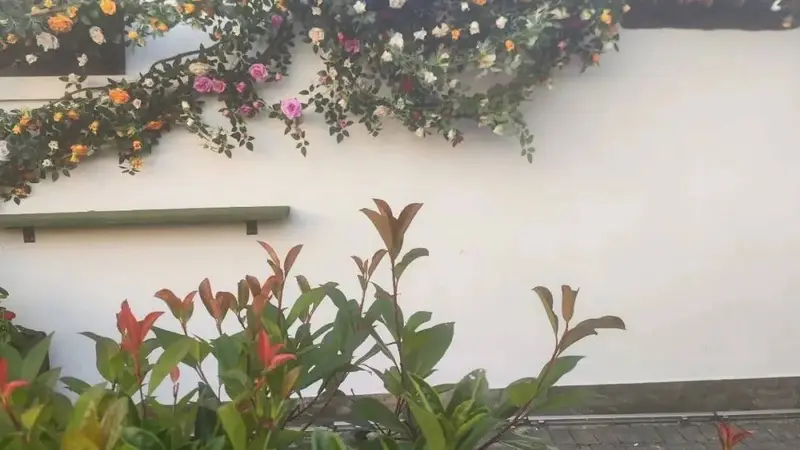 上海人依旧还是会喝咖啡，不会因为你而改变分毫