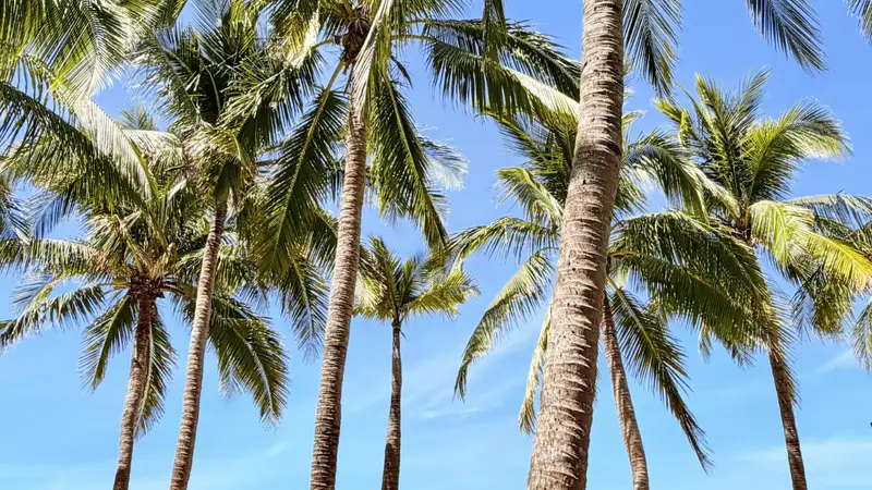 2026旅游合同酒店名称｜同级两个字能差出一倍价格