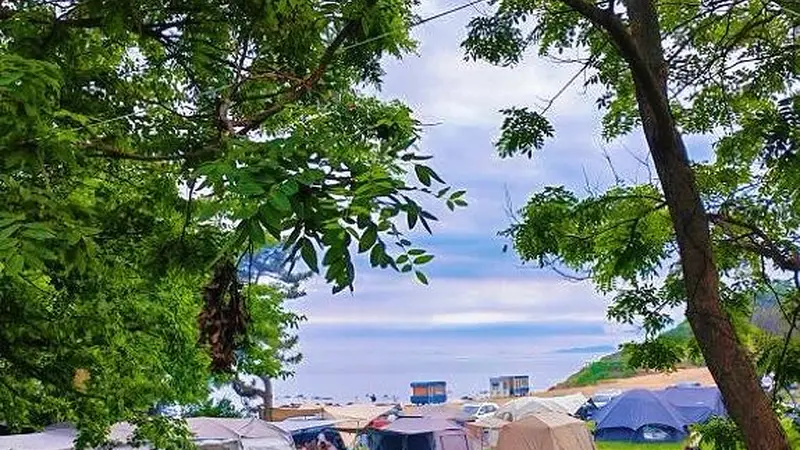 央视探访的文艺滨海古城 大连盛夏藏着海风与海鲜的温柔浪漫