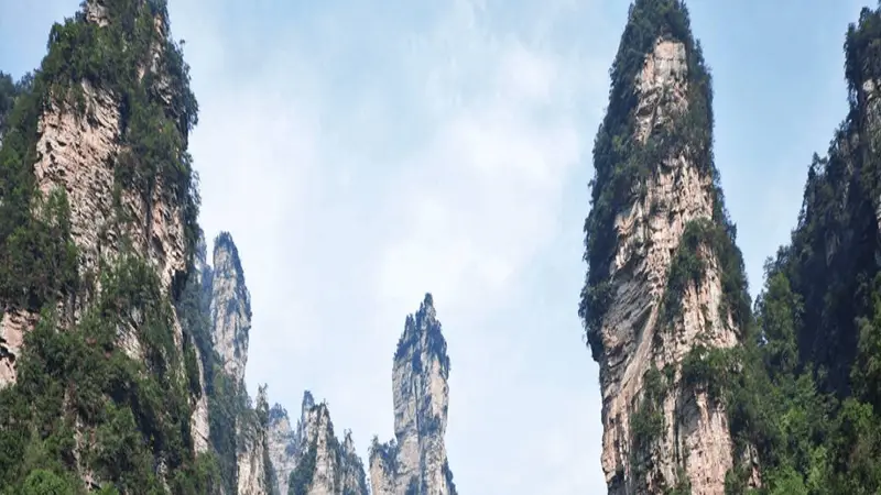 游客实地测评湖南出行服务，专业旅行社收获锦旗好评