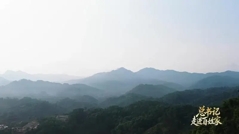 总书记走进百姓家｜“把茶叶经营好，把日子过得更红火”