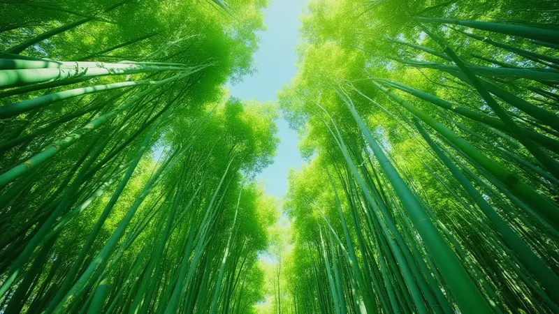 老舍：避 暑