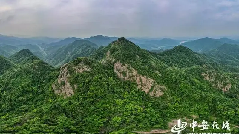 邓彩云：合肥之巅，飒飒凌空