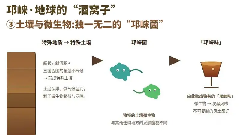 为什么说邛崃是世界白酒第一大原乡？