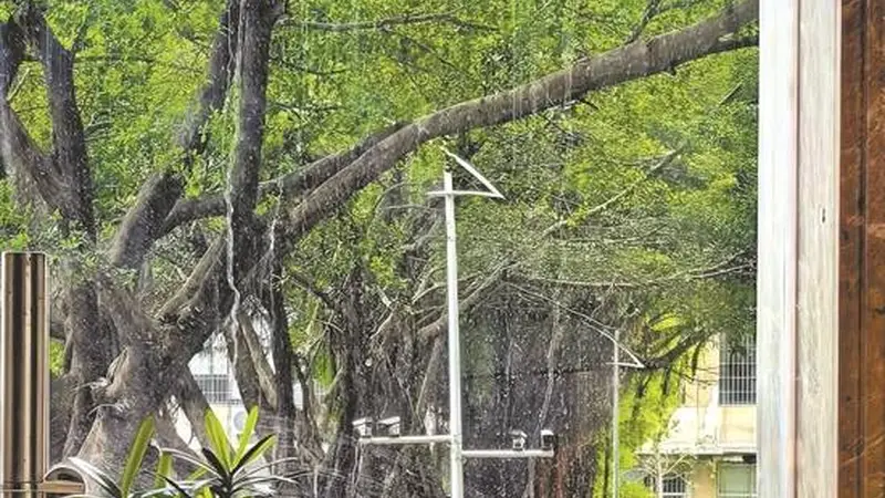 夏倦袭来,午后难支