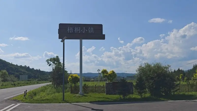 梧桐镇:生态药膳康养旅游新名片打造