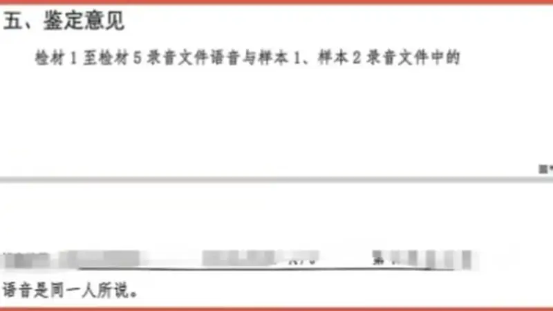 极目深度丨七旬老母一审被判替女还债百万，通话录音成为呈堂证供，当事人喊冤“那是女儿捏着嗓子冒充我”，二审未宣判