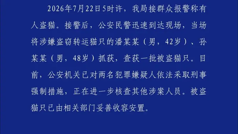 山东莱州警方通报:两名男子涉嫌盗窃转运上百只猫已被刑拘