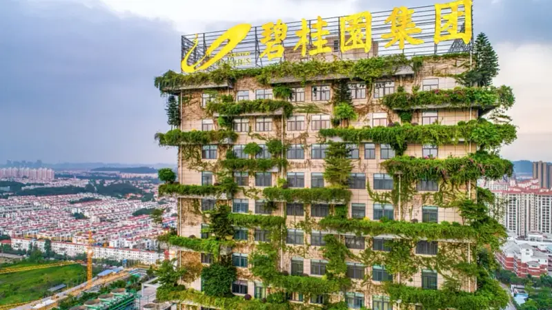 碧桂园，痛失了400亿
