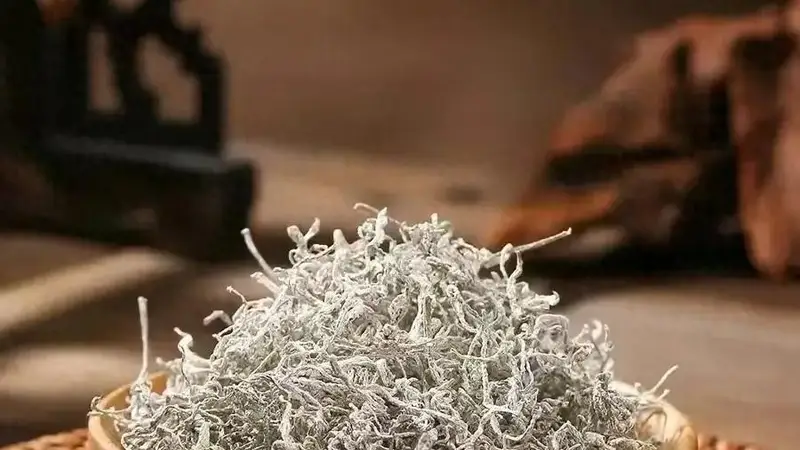 张家界莓茶味清甘 古城茶香里藏着几分养生真意
