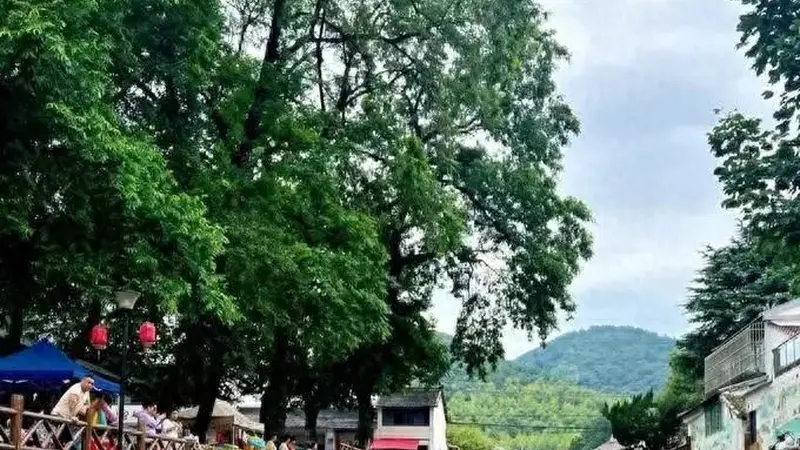 宜宾人避暑大反转！往年挤爆瓦屋山，今年扎堆家门口溯溪！