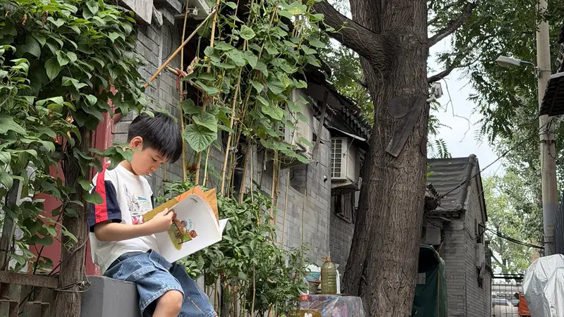 邱犇：最安稳的槐荫 | 夏日中国
