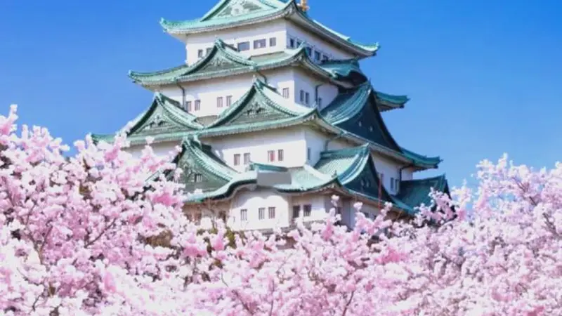 嘴硬撑不住了!中国游客断崖式撤离,日本旅游业彻底跌下神坛
