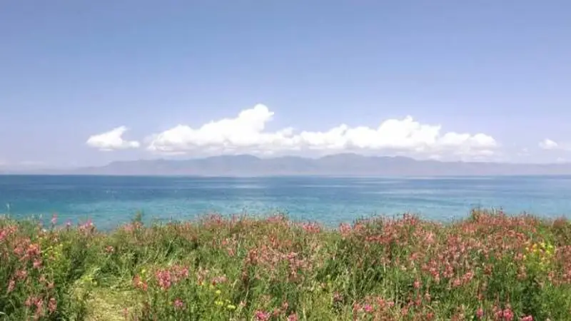 伊犁河谷的四季私语：一位旅人用七天邂逅天山深处的时光