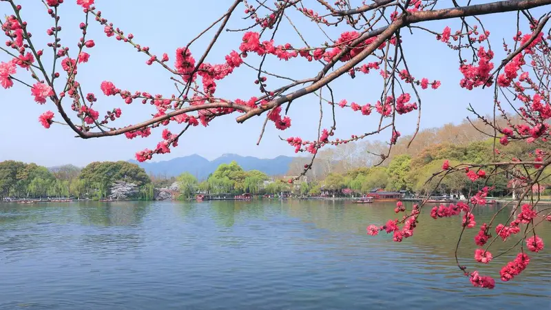 和爸妈的短途旅行记