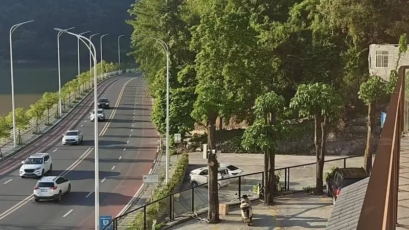 一场邀约的盛宴——记巴马湖光秋月的盛情款待