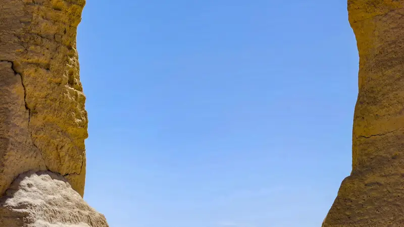 西北古城畔的花海浪涌：青海甘肃环线里的文艺秘境与靠谱游选