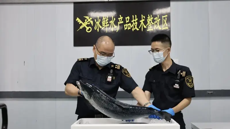 南京,再添一条新航线!