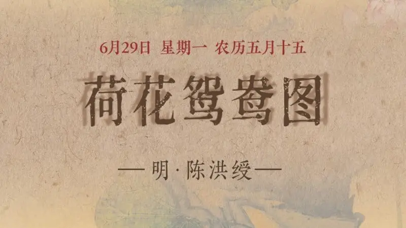 图知道｜《荷花鸳鸯图》：荷风送香 鸳鸯双栖
