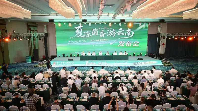 真金白银！云南邀您来避暑、吃菌！