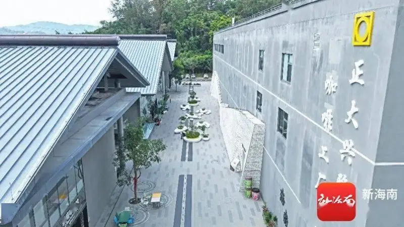 从侨乡记忆到世界舞台：一杯兴隆咖啡的振兴之路