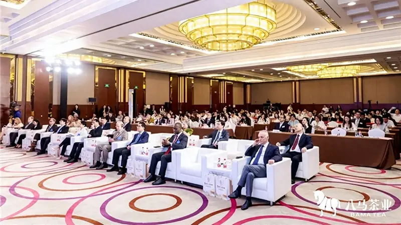礼遇14国使节闪耀国家级外事舞台，八马上市彰显硬核品牌实力