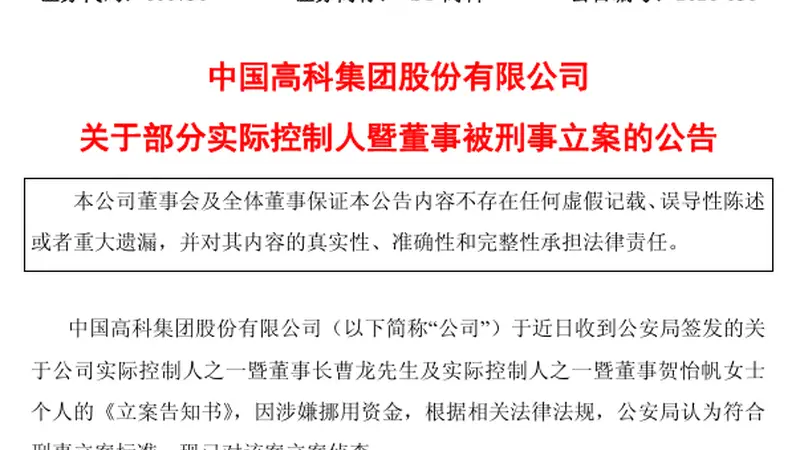 600730，两名实控人被刑事立案