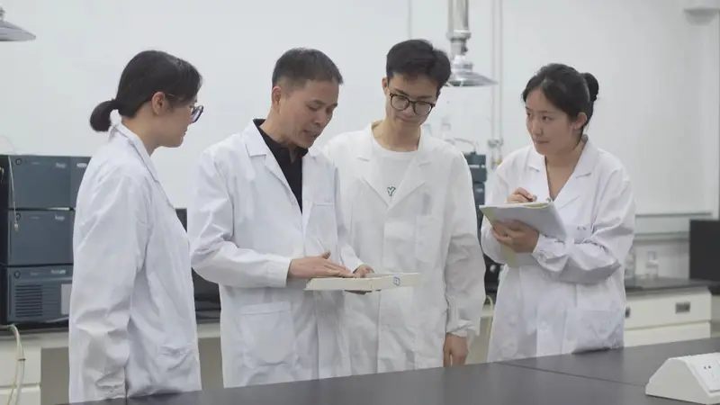 虎林：“绿叶”到“金叶” 刺五加茶擦亮特色产业金名片