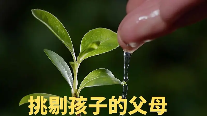 挑剔孩子的父母,先要培育自己的爱