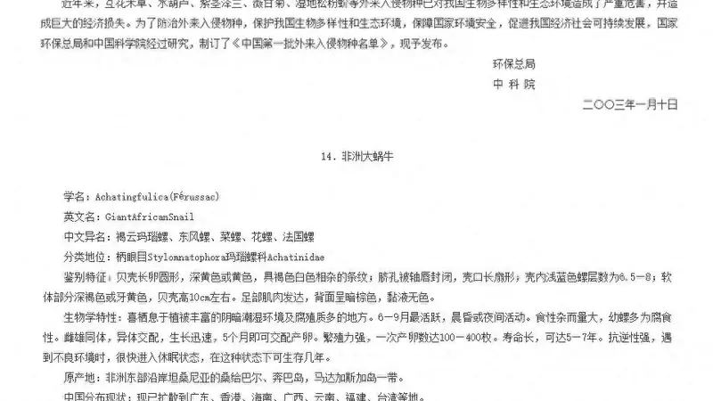 古城里的文艺隐患 非洲大蜗牛正悄悄向北方蔓延