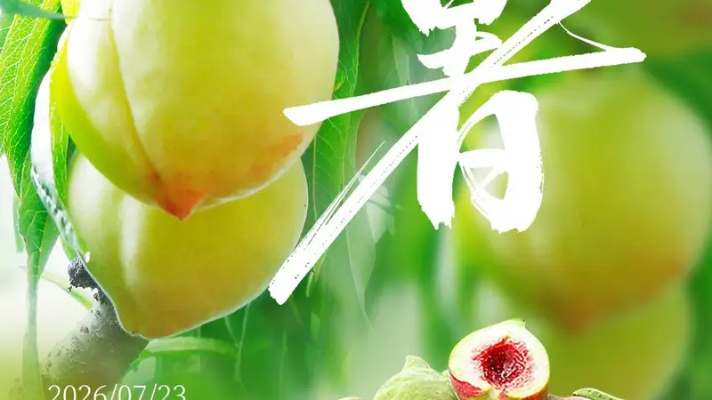 优·时节 | 大暑蒸炎夏 桃尖沁绯红