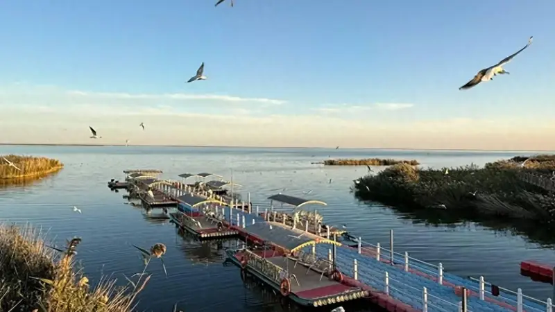 居延海畔寻文艺栖居：湖畔木屋邀你赏日出 星空伴眠