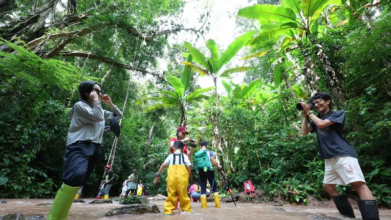 景洪基诺山巴朵村 雨林徒步串起古城烟火里的文艺增收路