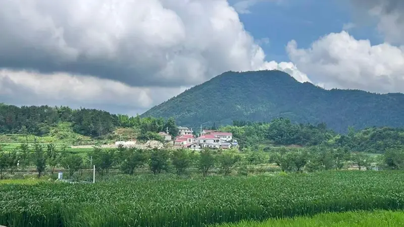 安徽岳西：“清凉经济”热起来