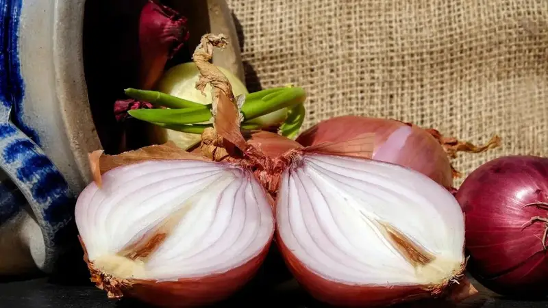 医生经常让忌口的“辛辣食物”，到底有哪些？| 爱生活