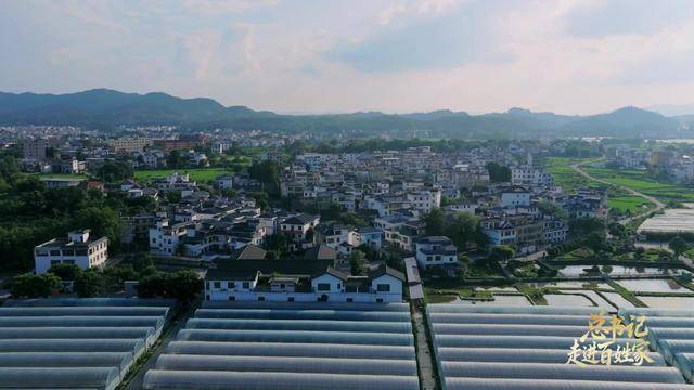 总书记走进百姓家｜让老区人民过上幸福生活