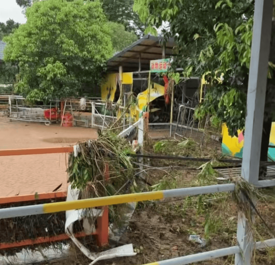 贵港动物园上百只动物被洪水冲走，3只狮子死亡，负责人回应