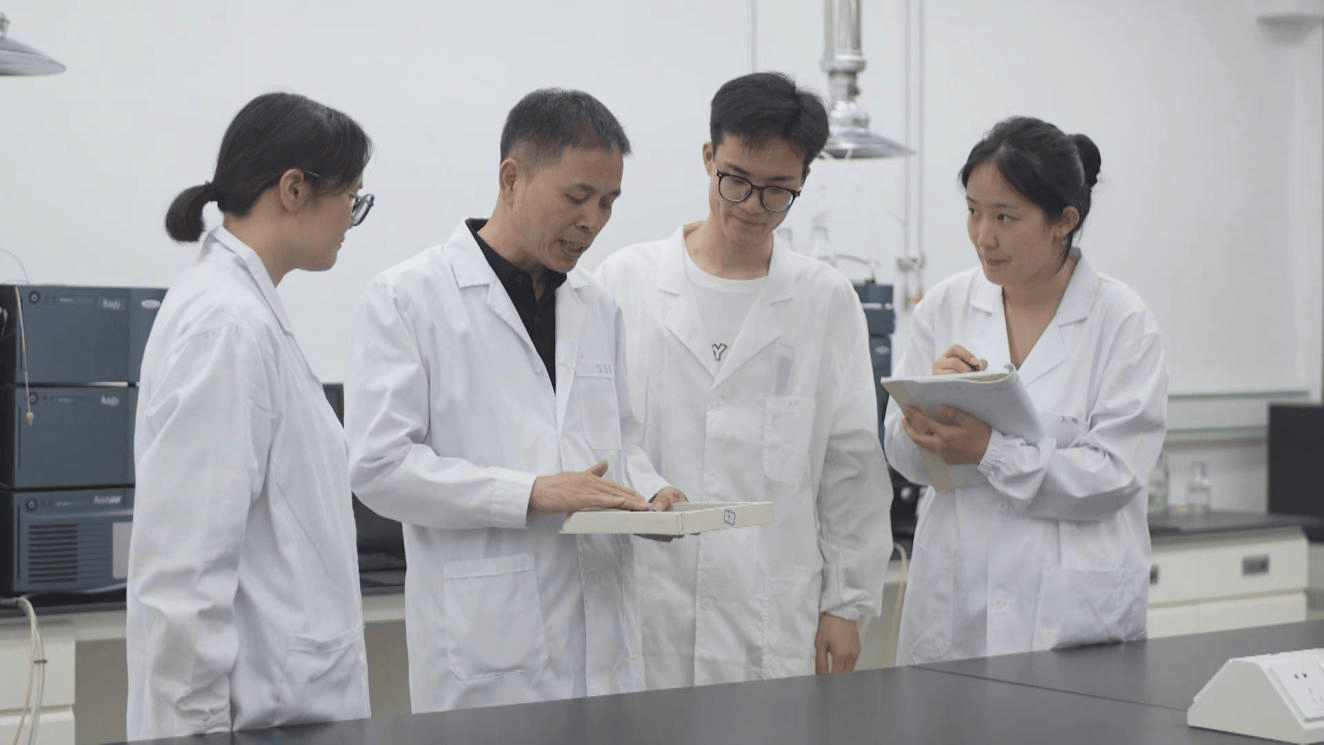 虎林：“绿叶”到“金叶” 刺五加茶擦亮特色产业金名片