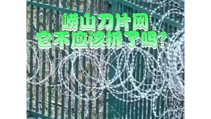 崂山被曝布设泰山同款“刀片网”，当地独家回应